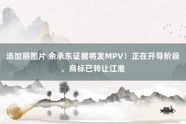 汤加丽图片 余承东证据将发MPV！正在开导阶段，商标已转让江淮