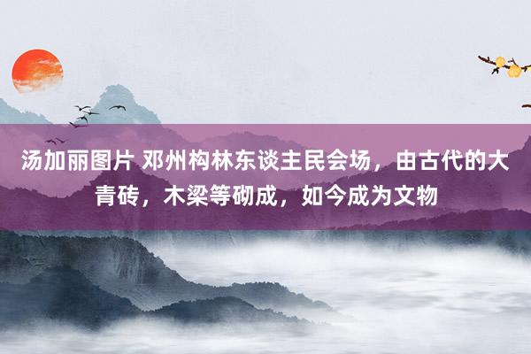 汤加丽图片 邓州构林东谈主民会场，由古代的大青砖，木梁等砌成，如今成为文物