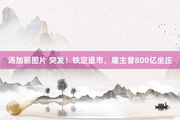 汤加丽图片 突发！铁定退市，雇主曾800亿坐庄