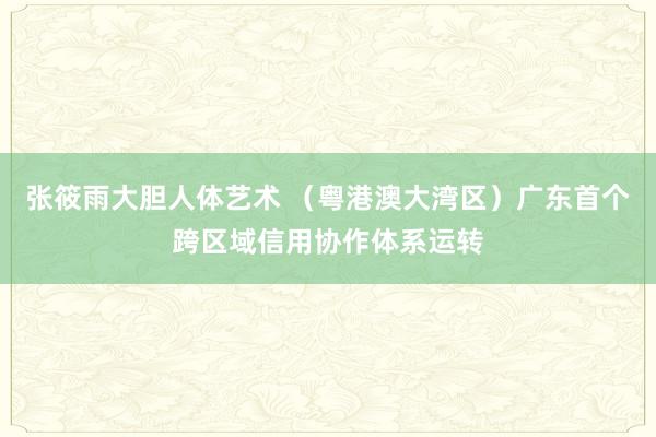 张筱雨大胆人体艺术 （粤港澳大湾区）广东首个跨区域信用协作体系运转