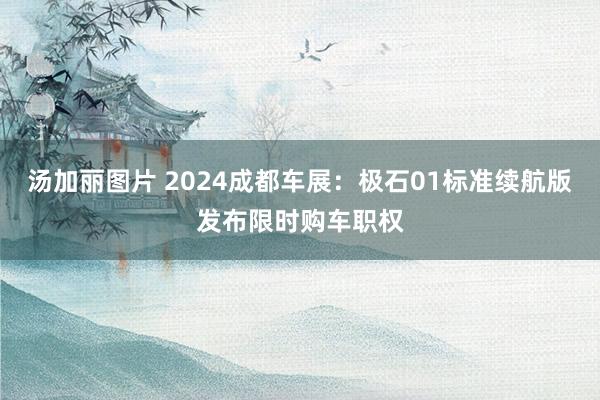 汤加丽图片 2024成都车展：极石01标准续航版发布限时购车职权