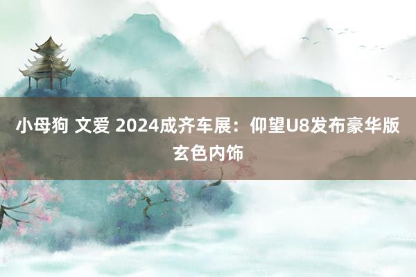 小母狗 文爱 2024成齐车展：仰望U8发布豪华版玄色内饰