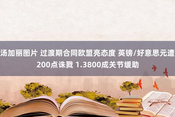 汤加丽图片 过渡期合同欧盟亮态度 英镑/好意思元遭200点诛戮 1.3800成关节缓助