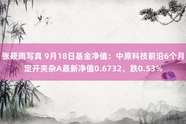 张筱雨写真 9月18日基金净值：中原科技前沿6个月定开夹杂A最新净值0.6732，跌0.53%