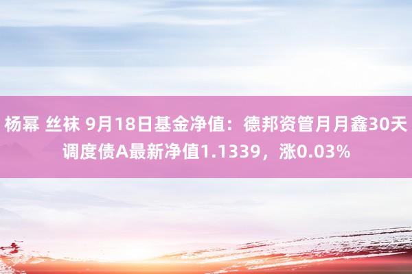 杨幂 丝袜 9月18日基金净值：德邦资管月月鑫30天调度债A最新净值1.1339，涨0.03%