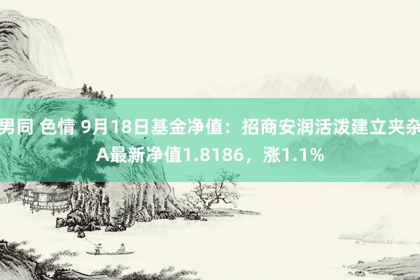 男同 色情 9月18日基金净值：招商安润活泼建立夹杂A最新净值1.8186，涨1.1%