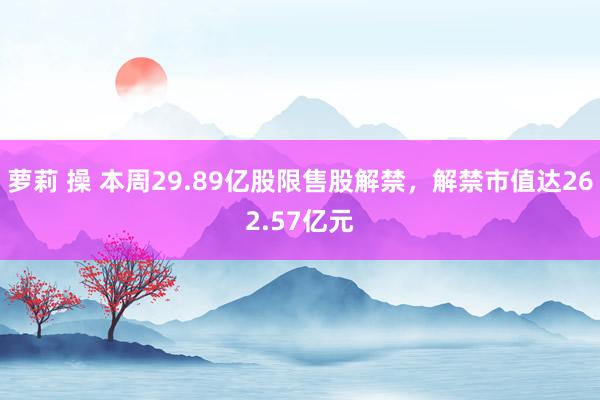 萝莉 操 本周29.89亿股限售股解禁，解禁市值达262.57亿元