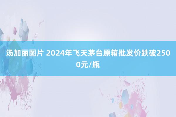 汤加丽图片 2024年飞天茅台原箱批发价跌破2500元/瓶