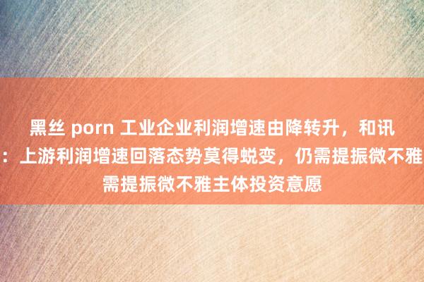 黑丝 porn 工业企业利润增速由降转升，和讯测度员孔祥俊：上游利润增速回落态势莫得蜕变，仍需提振微不雅主体投资意愿