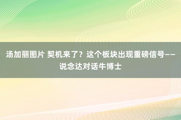 汤加丽图片 契机来了？这个板块出现重磅信号——说念达对话牛博士