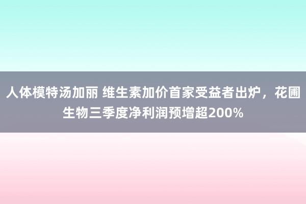 人体模特汤加丽 维生素加价首家受益者出炉，花圃生物三季度净利润预增超200%