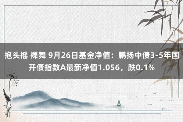 抱头摇 裸舞 9月26日基金净值：鹏扬中债3-5年国开债指数A最新净值1.056，跌0.1%