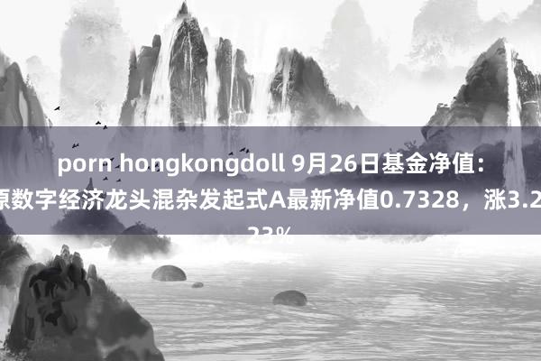 porn hongkongdoll 9月26日基金净值：中原数字经济龙头混杂发起式A最新净值0.7328，涨3.23%