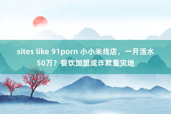 sites like 91porn 小小米线店，一月活水50万？餐饮加盟成诈欺重灾地