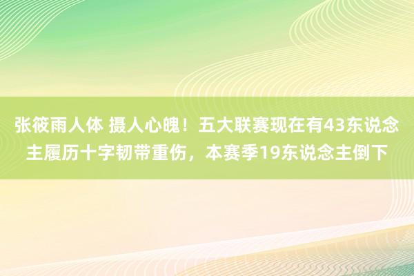 张筱雨人体 摄人心魄！五大联赛现在有43东说念主履历十字韧带重伤，本赛季19东说念主倒下