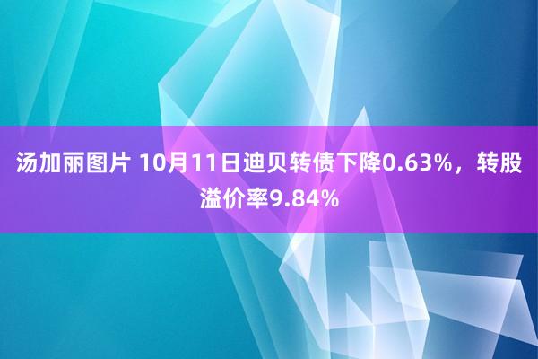 汤加丽图片 10月11日迪贝转债下降0.63%，转股溢价率9.84%