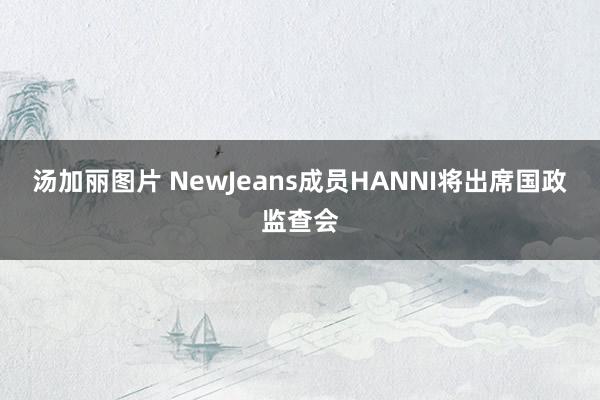 汤加丽图片 NewJeans成员HANNI将出席国政监查会