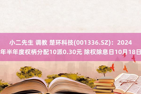 小二先生 调教 楚环科技(001336.SZ)：2024年半年度权柄分配10派0.30元 除权除息日10月18日