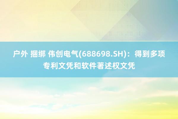 户外 捆绑 伟创电气(688698.SH)：得到多项专利文凭和软件著述权文凭