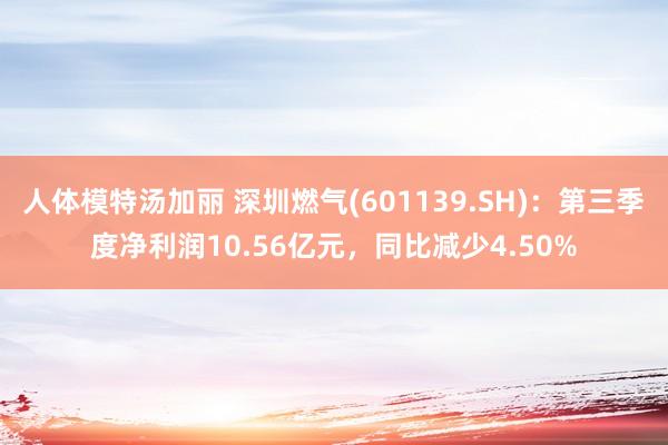 人体模特汤加丽 深圳燃气(601139.SH)：第三季度净利润10.56亿元，同比减少4.50%