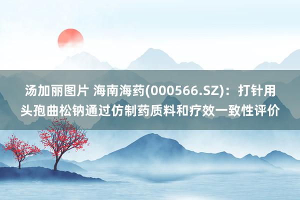 汤加丽图片 海南海药(000566.SZ)：打针用头孢曲松钠通过仿制药质料和疗效一致性评价