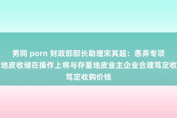 男同 porn 财政部部长助理宋其超：愚弄专项债收储地皮收储在操作上将与存量地皮业主企业合理笃定收购价钱