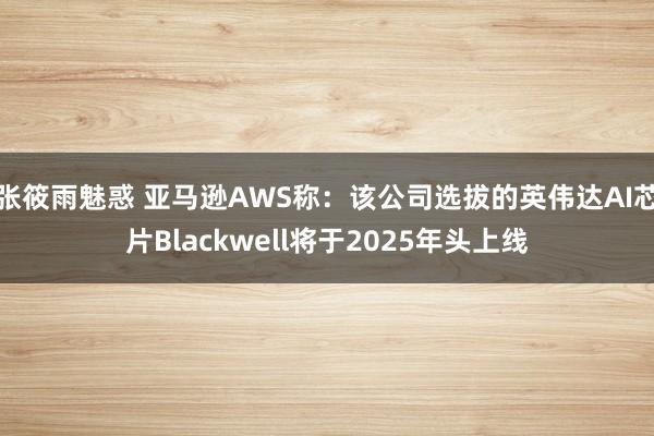 张筱雨魅惑 亚马逊AWS称：该公司选拔的英伟达AI芯片Blackwell将于2025年头上线