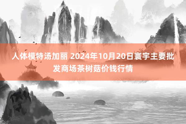 人体模特汤加丽 2024年10月20日寰宇主要批发商场茶树菇价钱行情