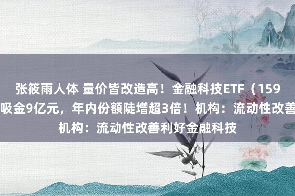 张筱雨人体 量价皆改造高！金融科技ETF（159851）近10日吸金9亿元，年内份额陡增超3倍！机构：流动性改善利好金融科技