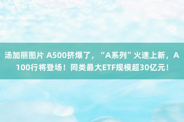 汤加丽图片 A500挤爆了，“A系列”火速上新，A100行将登场！同类最大ETF规模超30亿元！