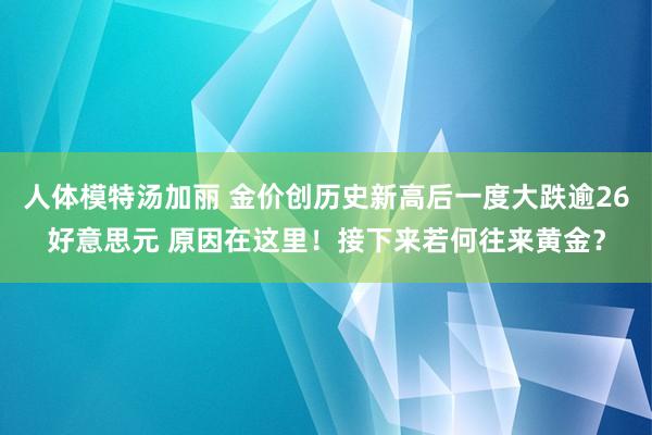 人体模特汤加丽 金价创历史新高后一度大跌逾26好意思元 原因在这里！接下来若何往来黄金？