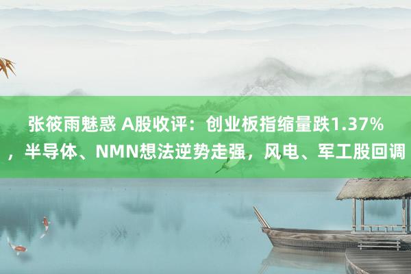 张筱雨魅惑 A股收评：创业板指缩量跌1.37%，半导体、NMN想法逆势走强，风电、军工股回调