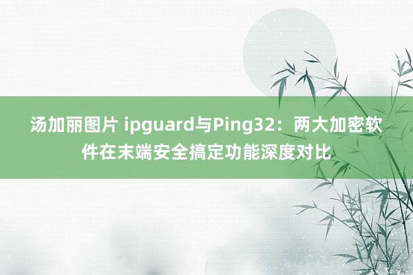 汤加丽图片 ipguard与Ping32：两大加密软件在末端安全搞定功能深度对比