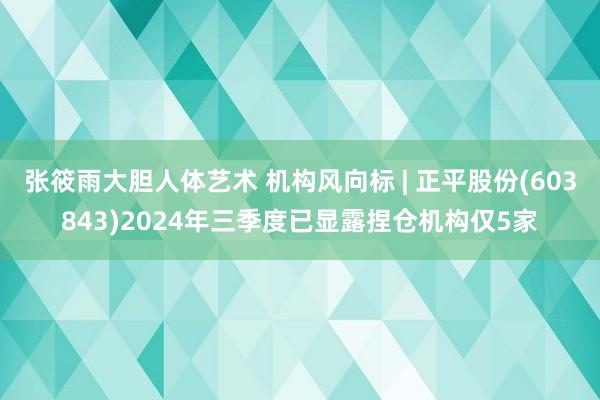 张筱雨大胆人体艺术 机构风向标 | 正平股份(603843)2024年三季度已显露捏仓机构仅5家