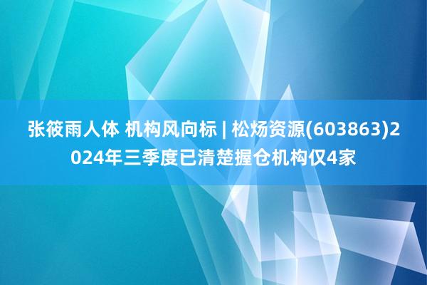 张筱雨人体 机构风向标 | 松炀资源(603863)2024年三季度已清楚握仓机构仅4家