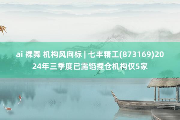 ai 裸舞 机构风向标 | 七丰精工(873169)2024年三季度已露馅捏仓机构仅5家