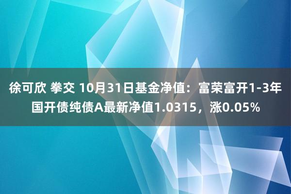 徐可欣 拳交 10月31日基金净值：富荣富开1-3年国开债纯债A最新净值1.0315，涨0.05%