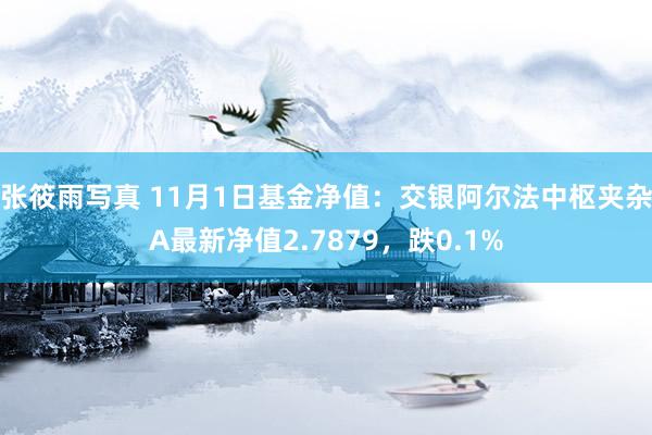 张筱雨写真 11月1日基金净值：交银阿尔法中枢夹杂A最新净值2.7879，跌0.1%