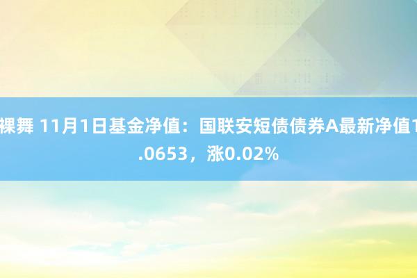 裸舞 11月1日基金净值：国联安短债债券A最新净值1.0653，涨0.02%