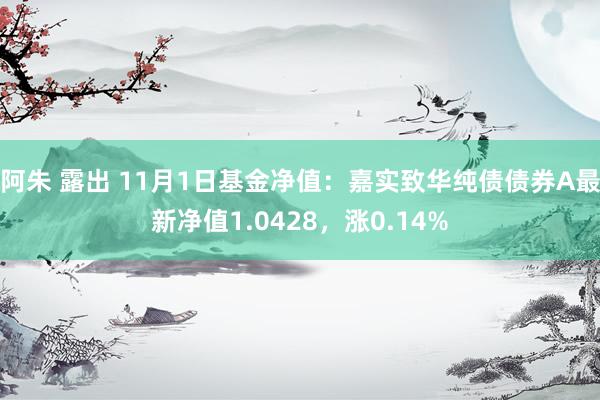 阿朱 露出 11月1日基金净值：嘉实致华纯债债券A最新净值1.0428，涨0.14%