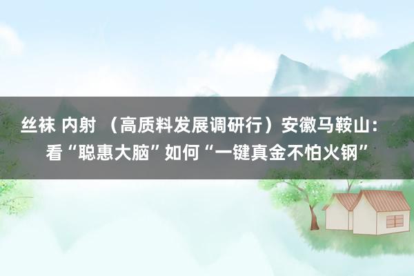 丝袜 内射 （高质料发展调研行）安徽马鞍山： 看“聪惠大脑”如何“一键真金不怕火钢”