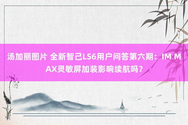 汤加丽图片 全新智己LS6用户问答第六期：IM MAX灵敏屏加装影响续航吗？