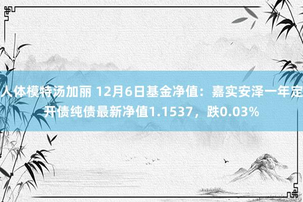 人体模特汤加丽 12月6日基金净值：嘉实安泽一年定开债纯债最新净值1.1537，跌0.03%