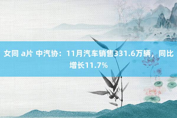 女同 a片 中汽协：11月汽车销售331.6万辆，同比增长11.7%