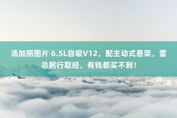 汤加丽图片 6.5L自吸V12，配主动式悬架，雷总躬行取经，有钱都买不到！