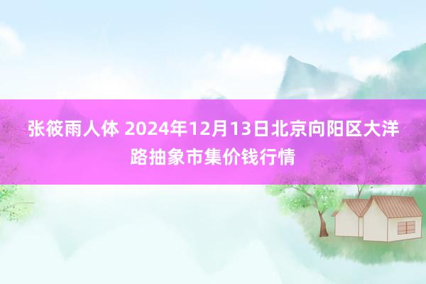 张筱雨人体 2024年12月13日北京向阳区大洋路抽象市集价钱行情