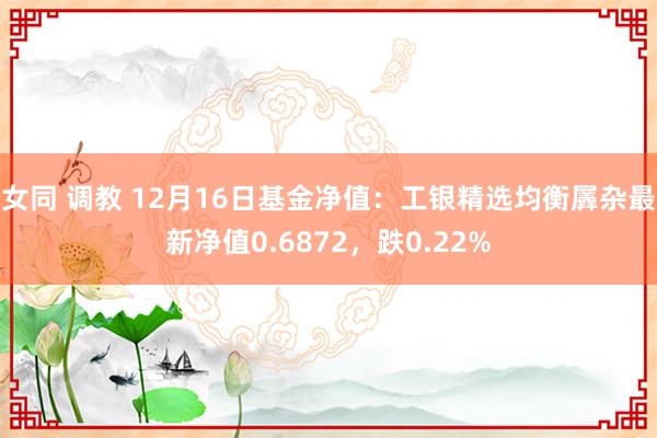 女同 调教 12月16日基金净值：工银精选均衡羼杂最新净值0.6872，跌0.22%