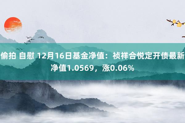 偷拍 自慰 12月16日基金净值：祯祥合悦定开债最新净值1.0569，涨0.06%