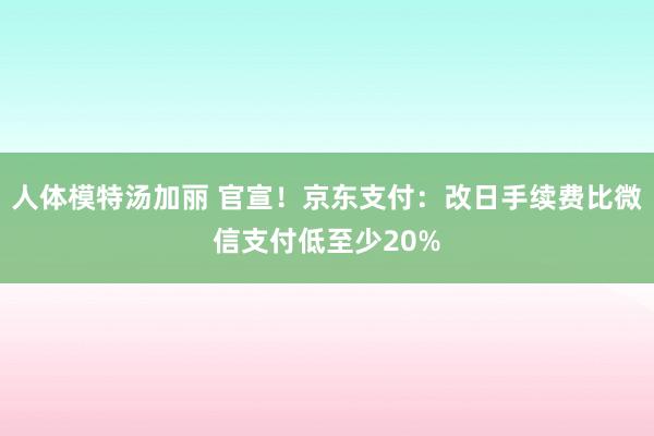 人体模特汤加丽 官宣！京东支付：改日手续费比微信支付低至少20%