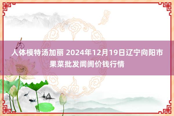 人体模特汤加丽 2024年12月19日辽宁向阳市果菜批发阛阓价钱行情